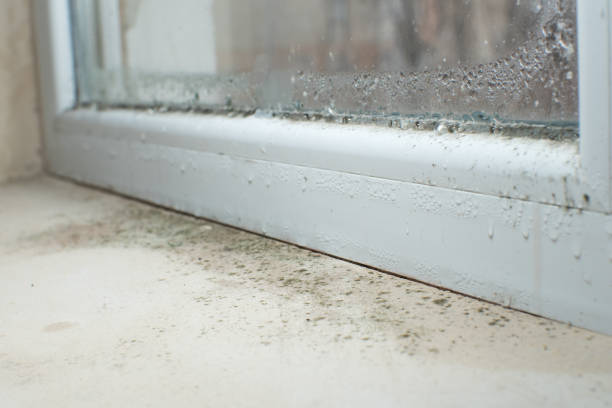 Clifton Forge, VA Mold Removal Company